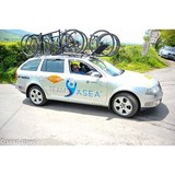 ASEA Independent Distributor - Wholesale in Henderson
