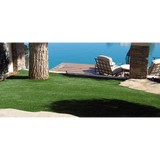 Leisure Lawn Inc - Lawn Services in Las Vegas