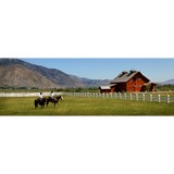 Lake Tahoe Studio - Other in Stateline