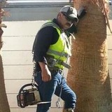 Ruben's Lawn Service - Landscape Architects in Las Vegas