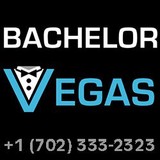 Vegas Vip - Software Development in Las Vegas