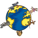 Doggie Oasis Day Care - Pet Services in Las Vegas