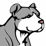 Pitbull Pest Control - Pest Control in Las Vegas
