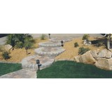 Aquarius Landscape - Landscape Architects in Henderson