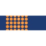 Imagine Marketing of Nevada - Marketing in Henderson