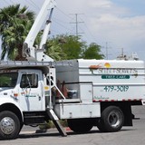 Arborpest Companies LLC - Tree Services in Las Vegas