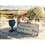 Entertainer - Other in Gardnerville