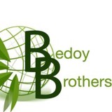 Bedoy Bros - Plumbing in Carson City