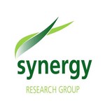 Synergy Research Group - Business Consulting in Reno