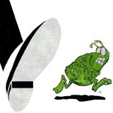 Statewide Termite & Pest Cntrl - Pest Control in Sparks