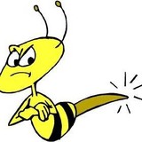 Progressive Pest Management - Pest Control in Reno