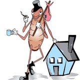 Intrusion Pest Control Incorporated - Pest Control in Henderson