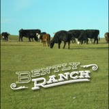 Bentley Agro Dynamics - Other in Minden