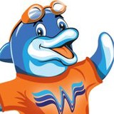 Water Wing Swim School - Water Delivery in Las Vegas