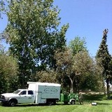 American Arborists Tree Service - Tree Services in Reno