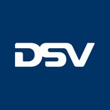 Dsv Solutions - Other in Incline Village