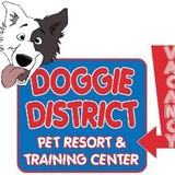 Adoggie District - Pet Groomers in Las Vegas