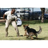 Citizen K9 Club & Rescue - Pet/Animal Training in Las Vegas
