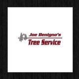Joe Benigno Tree Service Inc - Other in Gardnerville