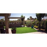 The Johnson Company - Landscaping in Las Vegas