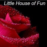 Little House Of Fun - Other in Elko