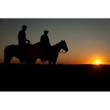 Nevada Land Action Assn - Other in Elko