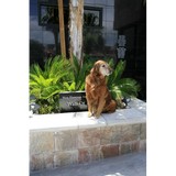 Haggard Lashay DVM - Animal Hospitals in Las Vegas