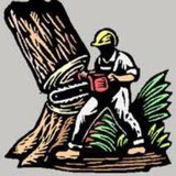 Reno Tree Service - Landscape Architects in Reno