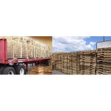 Pallet Broker LLC - Other in Sparks