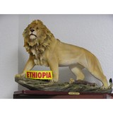 Abesha Business Service - Immigration Law in Las Vegas