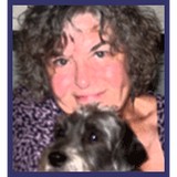 Stay At Home Pet Services - Pet Services in Cincinnati