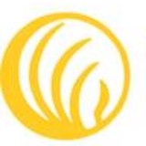 Nami - Counseling & Mental Health in Bowling Green