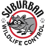 Wildlife Removal Services Inc - Other in Maineville