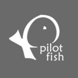 Pilot Fish SEO - Web Design & Development in Akron