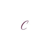 Cara's Boutique - Women’s Clothing in Westlake