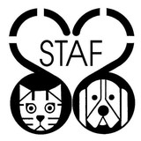 Save the Animals Foundation - Social Clubs in Cincinnati