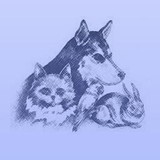 Aurora Animal Care Center Inc - Veterinarians/Vets in Aurora