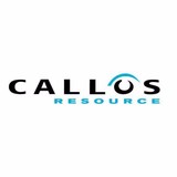 Callos & Assoc - Insurance in Canton