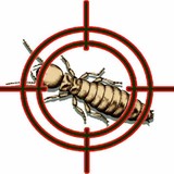 Onyx Termite & Pest - Pest Control in Fairfield