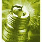 Bright Side Inc - Business Consulting in Chagrin Falls