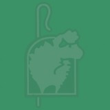 Shepherd's Corner - Other in Blacklick
