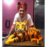 Iced Cake Designs - Custom Cakes in Mansfield