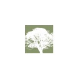 Winesburg Hardwood & Pallet CO - Manufacturer in Dundee