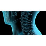 Duong Danielle B DC - Chiropractors in Geneva