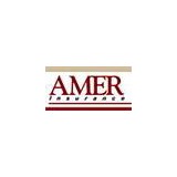 Amer Insurance - Insurance in Akron