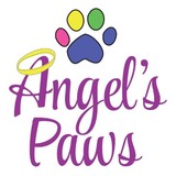 Angels Paws - Pet Services in Cincinnati