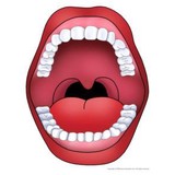 Ross Dental Group - Dentists in Hamilton