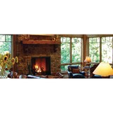 Rhino Chimney Service - Fireplaces & Stoves in Mount Vernon