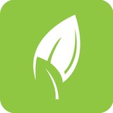 Bellas Lawn & Landscape LLC - Landscaping in Toledo