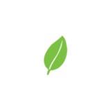 Innergreen - Florists in Mason